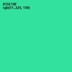 #33E19F - Shamrock Color Image