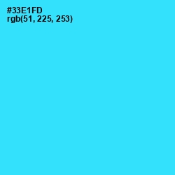 #33E1FD - Bright Turquoise Color Image