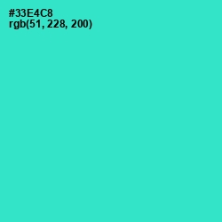 #33E4C8 - Turquoise Color Image