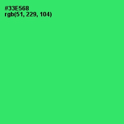 #33E568 - Malachite Color Image