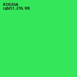 #33E65A - Malachite Color Image