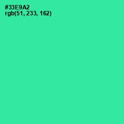 #33E9A2 - Shamrock Color Image