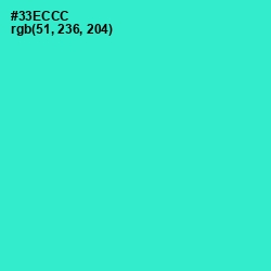 #33ECCC - Turquoise Color Image