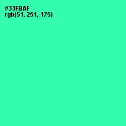 #33FBAF - Shamrock Color Image