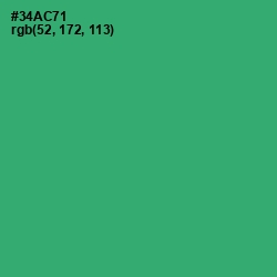 #34AC71 - Sea Green Color Image