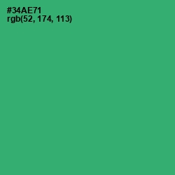 #34AE71 - Sea Green Color Image