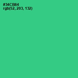 #34CB84 - Shamrock Color Image