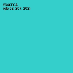 #34CFCA - Turquoise Color Image