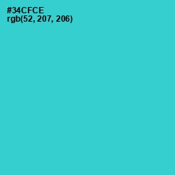 #34CFCE - Turquoise Color Image