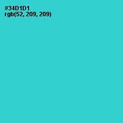#34D1D1 - Turquoise Color Image
