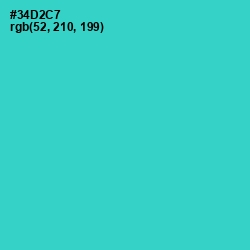 #34D2C7 - Turquoise Color Image