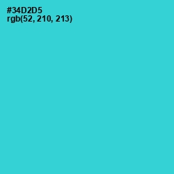 #34D2D5 - Turquoise Color Image