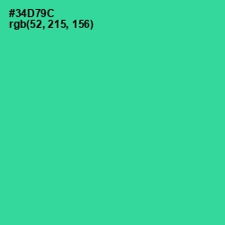 #34D79C - Shamrock Color Image