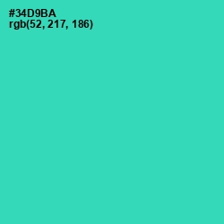 #34D9BA - Puerto Rico Color Image