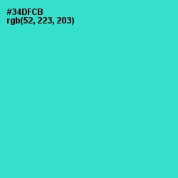 #34DFCB - Turquoise Color Image