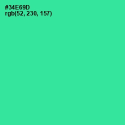 #34E69D - Shamrock Color Image