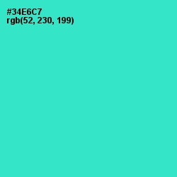 #34E6C7 - Turquoise Color Image