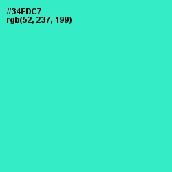 #34EDC7 - Turquoise Color Image