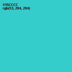 #35CCCC - Turquoise Color Image