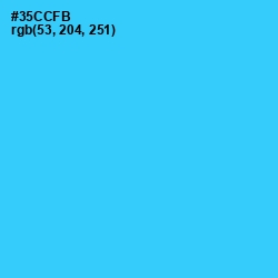 #35CCFB - Turquoise Color Image