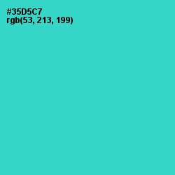 #35D5C7 - Turquoise Color Image