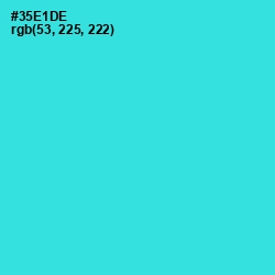 #35E1DE - Turquoise Color Image