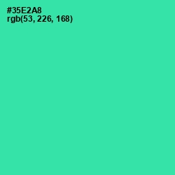 #35E2A8 - Shamrock Color Image