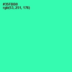 #35FBB0 - Shamrock Color Image