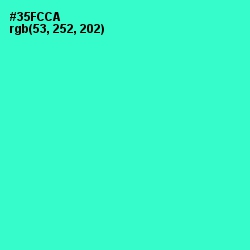 #35FCCA - Turquoise Color Image