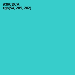 #36CDCA - Turquoise Color Image