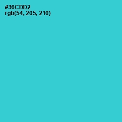 #36CDD2 - Turquoise Color Image