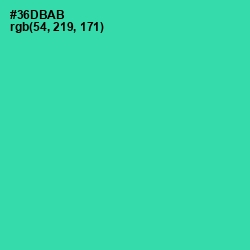 #36DBAB - Puerto Rico Color Image