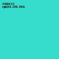 #36DCCC - Turquoise Color Image