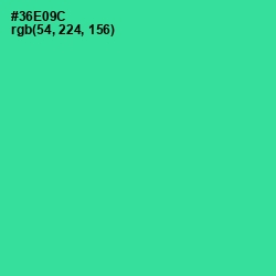 #36E09C - Shamrock Color Image