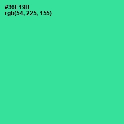 #36E19B - Shamrock Color Image