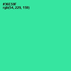 #36E59F - Shamrock Color Image