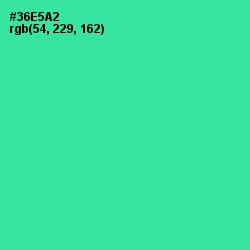 #36E5A2 - Shamrock Color Image