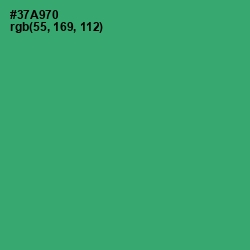#37A970 - Sea Green Color Image