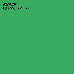 #37AC61 - Sea Green Color Image