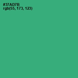 #37AD7B - Eucalyptus Color Image