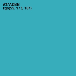 #37ADBB - Pelorous Color Image