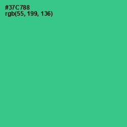 #37C788 - Shamrock Color Image