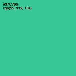 #37C796 - Shamrock Color Image