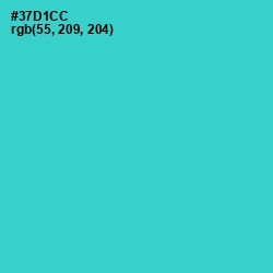 #37D1CC - Turquoise Color Image