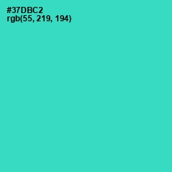 #37DBC2 - Turquoise Color Image