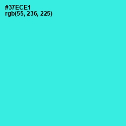 #37ECE1 - Turquoise Color Image