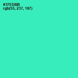 #37EDBB - Shamrock Color Image