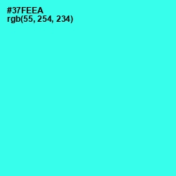 #37FEEA - Bright Turquoise Color Image