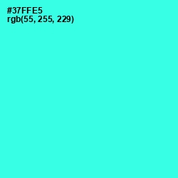 #37FFE5 - Turquoise Color Image