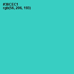 #38CEC1 - Turquoise Color Image
